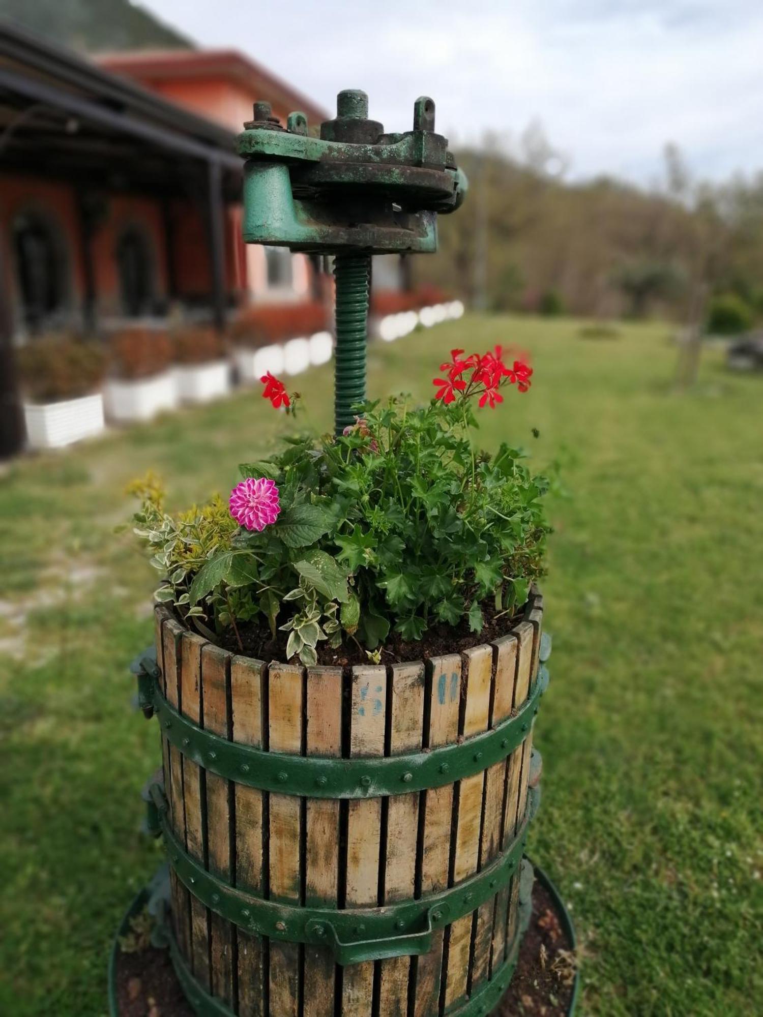 Salisu Country House Mignano Monte Lungo Kültér fotó